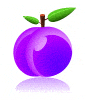 purple vegetable